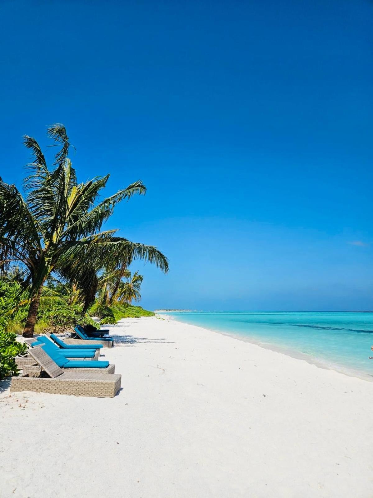 White Tern Maldives Otel Maamigili Dış mekan fotoğraf