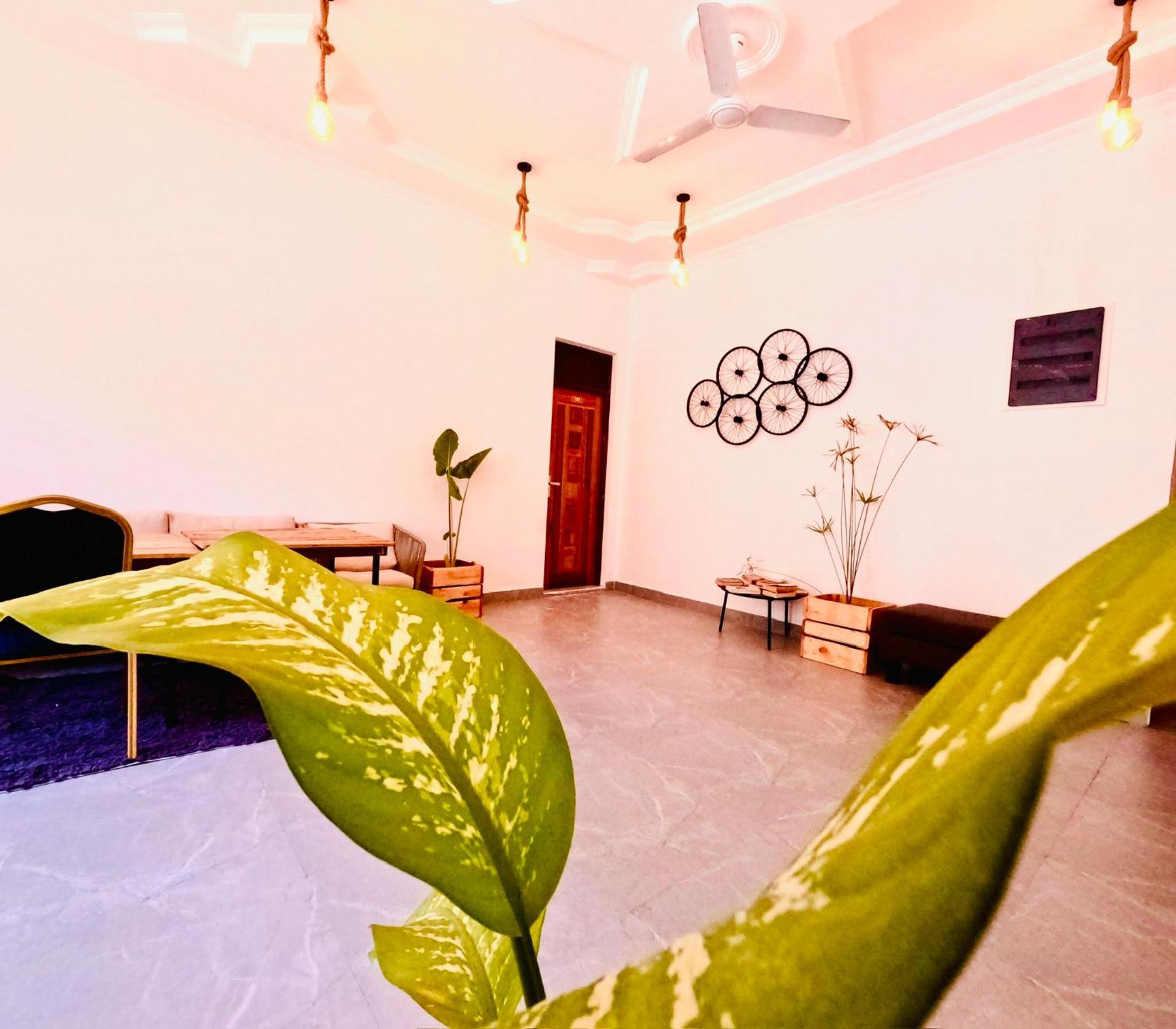 White Tern Maldives Otel Maamigili Dış mekan fotoğraf