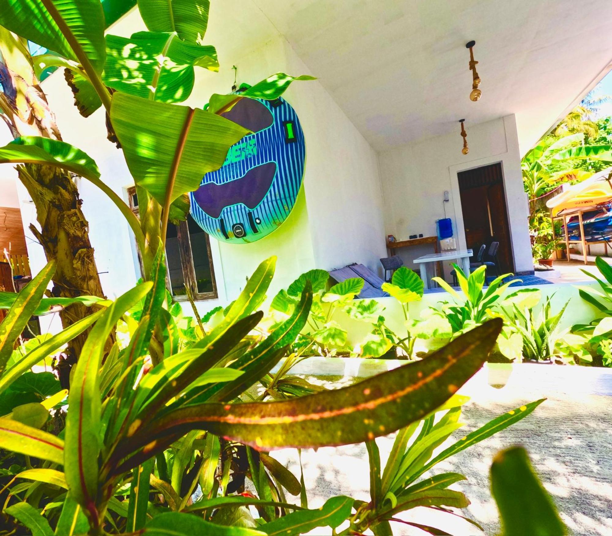 White Tern Maldives Otel Maamigili Dış mekan fotoğraf
